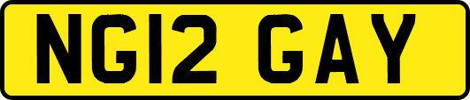 NG12GAY