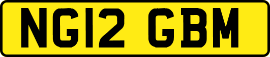 NG12GBM