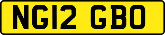 NG12GBO