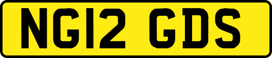 NG12GDS