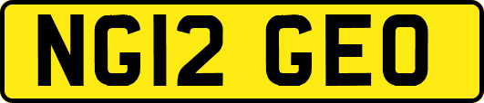 NG12GEO