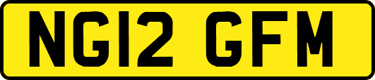 NG12GFM