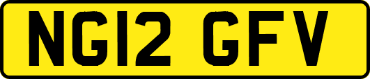 NG12GFV
