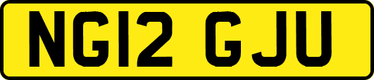 NG12GJU