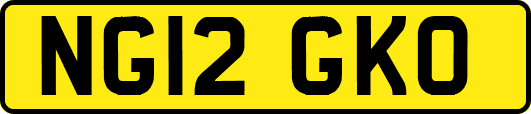 NG12GKO