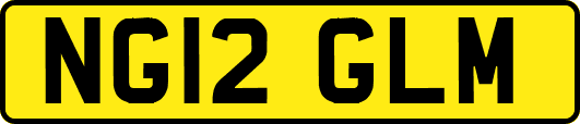 NG12GLM