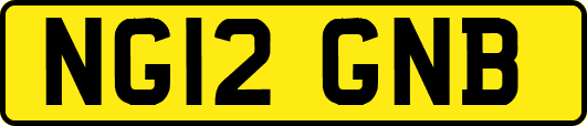 NG12GNB