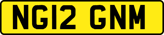 NG12GNM