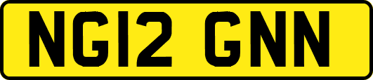NG12GNN