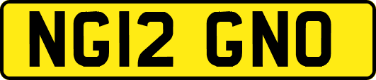 NG12GNO