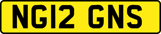 NG12GNS