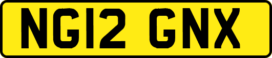 NG12GNX