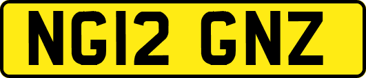 NG12GNZ