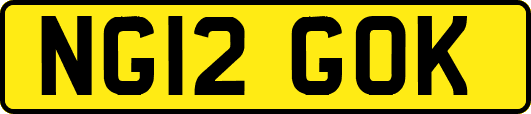 NG12GOK