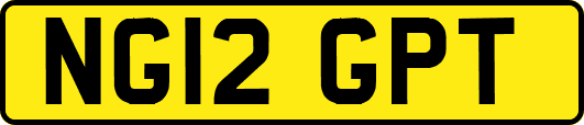 NG12GPT