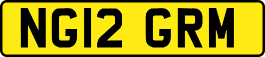 NG12GRM