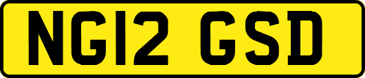 NG12GSD