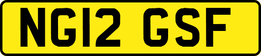 NG12GSF