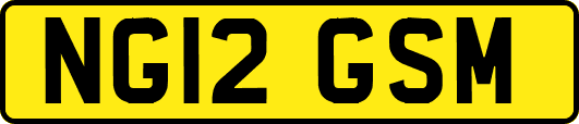 NG12GSM
