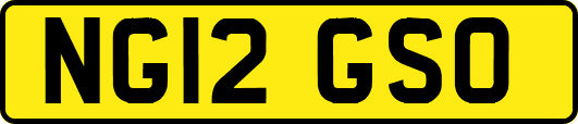 NG12GSO