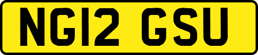NG12GSU