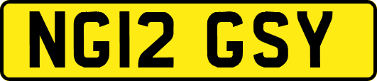NG12GSY