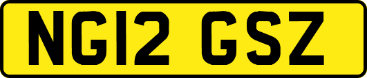 NG12GSZ