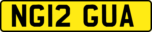NG12GUA