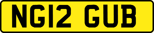 NG12GUB