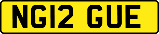 NG12GUE