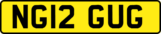 NG12GUG