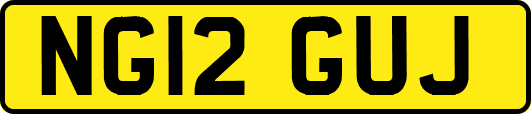 NG12GUJ