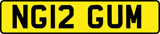 NG12GUM