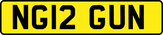 NG12GUN