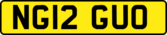 NG12GUO