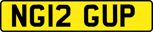 NG12GUP