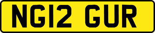 NG12GUR