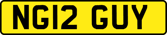 NG12GUY