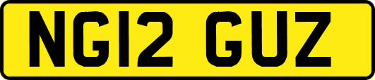NG12GUZ