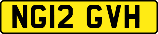 NG12GVH