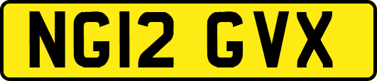 NG12GVX