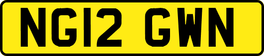NG12GWN