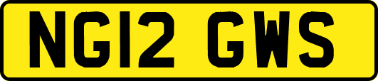 NG12GWS
