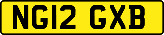 NG12GXB