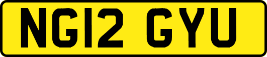 NG12GYU