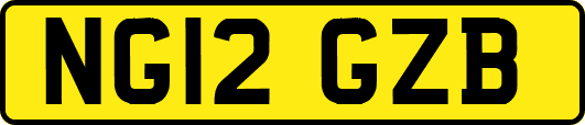 NG12GZB