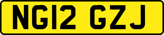 NG12GZJ
