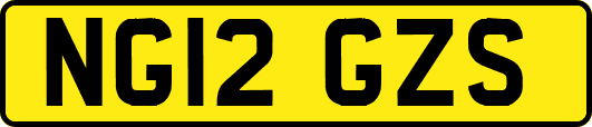 NG12GZS