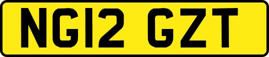 NG12GZT