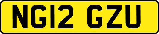 NG12GZU